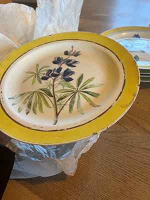 Lot 102 - A Derby porcelain botanical dessert service