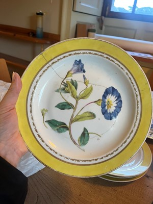 Lot 102 - A Derby porcelain botanical dessert service