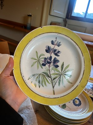 Lot 102 - A Derby porcelain botanical dessert service