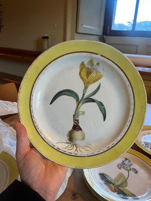 Lot 102 - A Derby porcelain botanical dessert service
