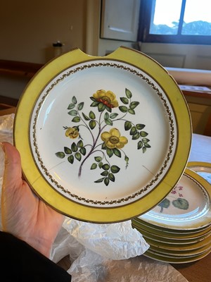 Lot 102 - A Derby porcelain botanical dessert service