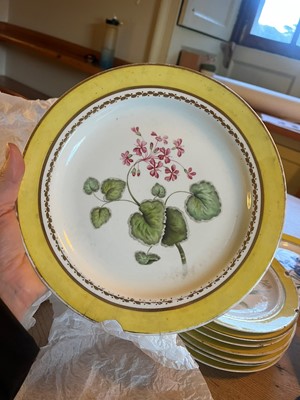 Lot 102 - A Derby porcelain botanical dessert service