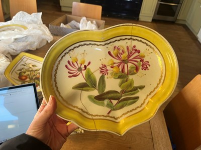 Lot 102 - A Derby porcelain botanical dessert service