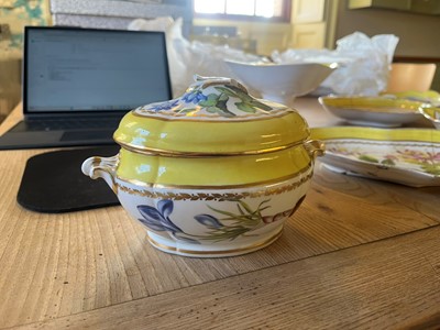 Lot 102 - A Derby porcelain botanical dessert service