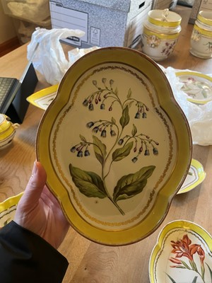 Lot 102 - A Derby porcelain botanical dessert service