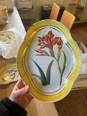 Lot 102 - A Derby porcelain botanical dessert service