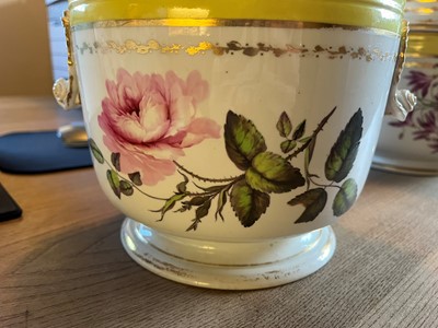 Lot 102 - A Derby porcelain botanical dessert service