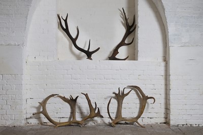 Lot 119 - Two pairs of deer antlers