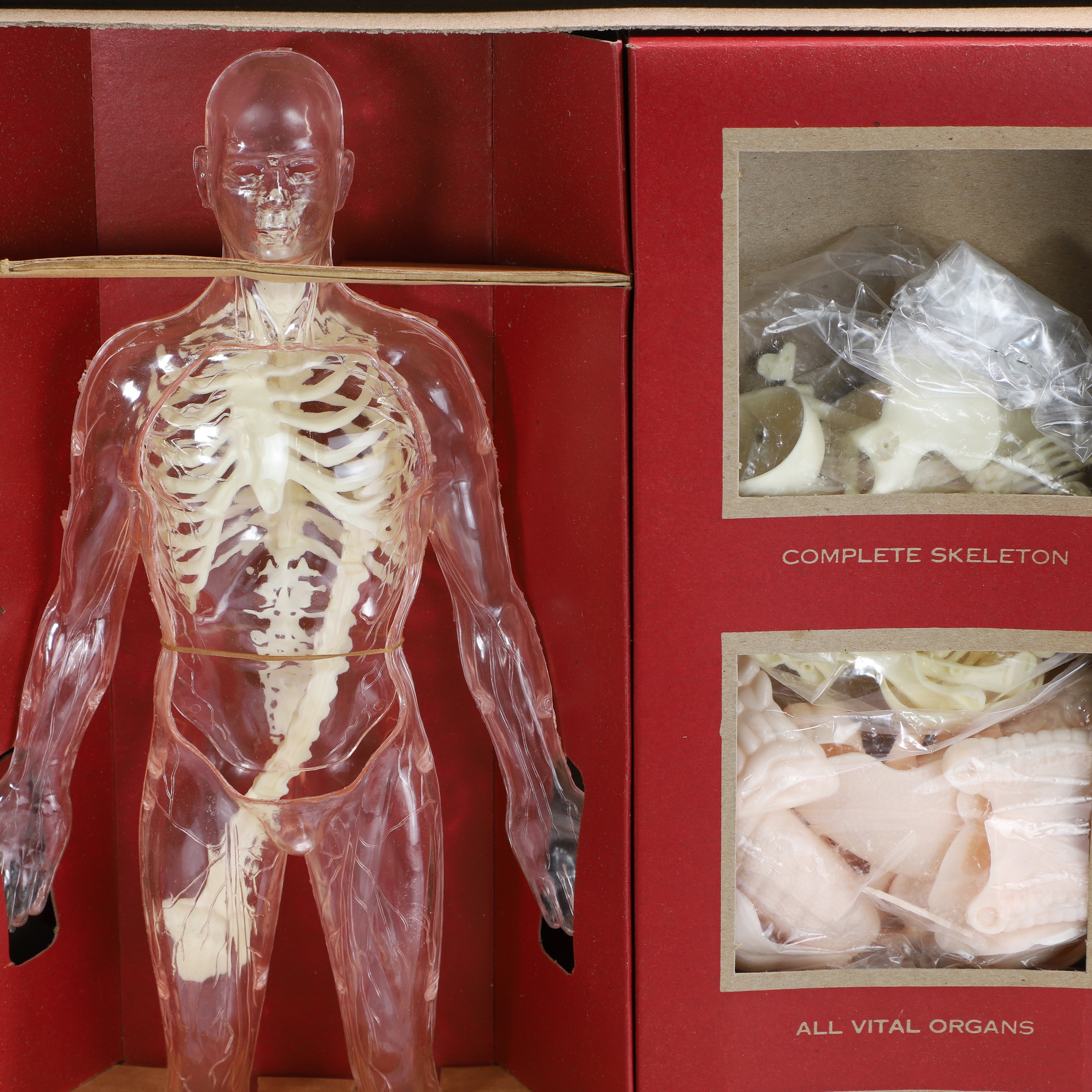 Lot 461 - Two assembly kits for 'The Visible Man' and '