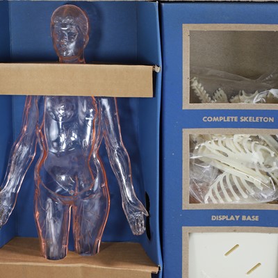 Lot 461 - Two assembly kits for 'The Visible Man' and 'The Visible Woman'