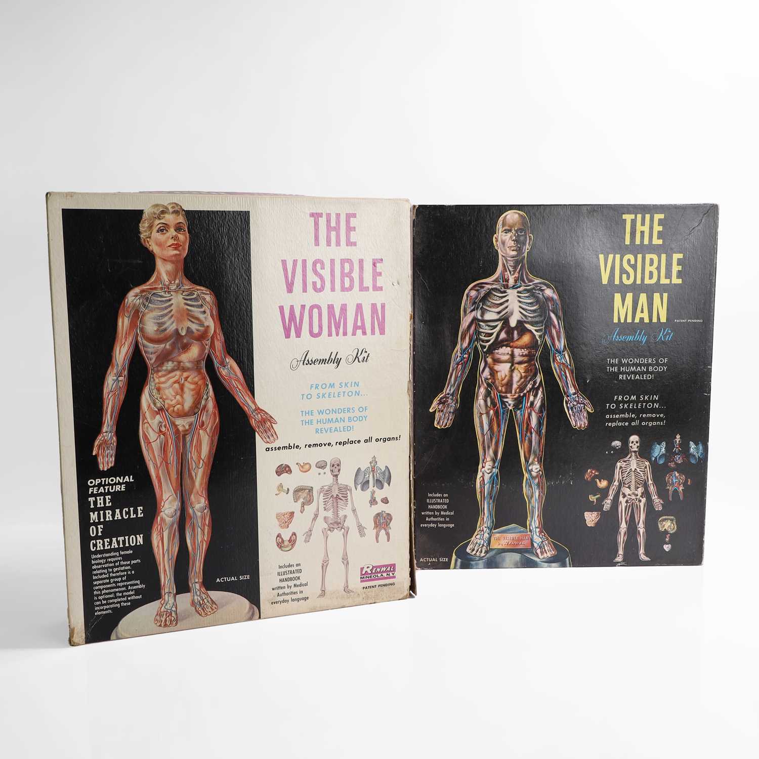Visual Men Lot 461 - Two assembly kits for 'The Visible Man' and