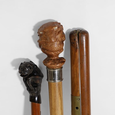 Lot 482 - Two walking sticks