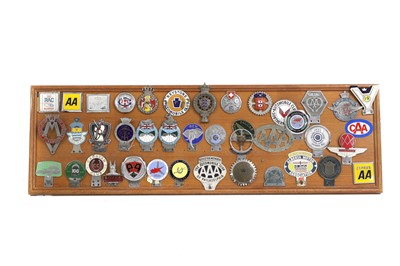 Lot 19 - A display of motoring badges