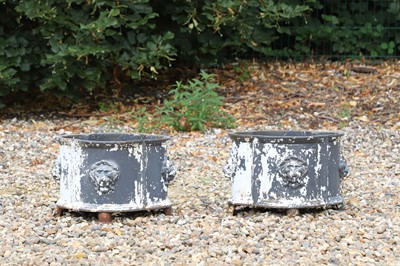 Lot 58 - A pair of cast iron planters