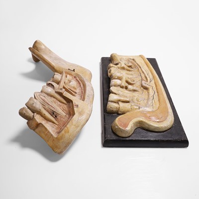 Lot 458 - A pair of dentist teaching-aid jaws