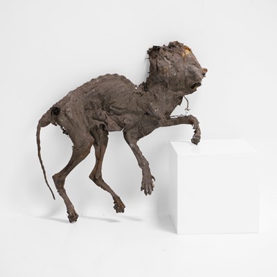 Lot 49 - A mummified cat