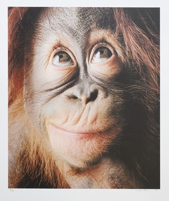 Lot 243 - Tim Flach (b.1958)