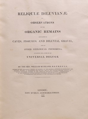 Lot 261 - GEOLOGY