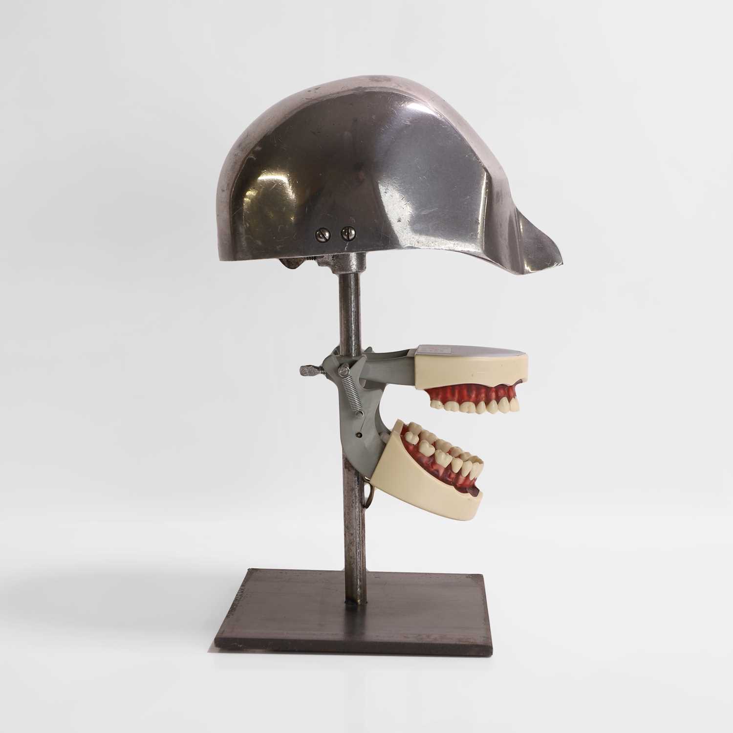 Lot 456 - A dentist's 'phantom' teaching aid