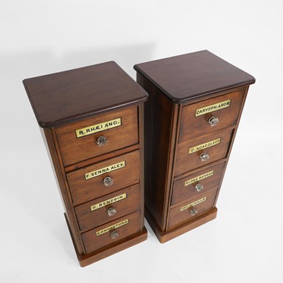 Lot 454 - A pair of mahogany and pine apothecary cabinets