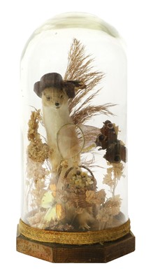 Lot 278 - A taxidermy anthropomorphic stoat