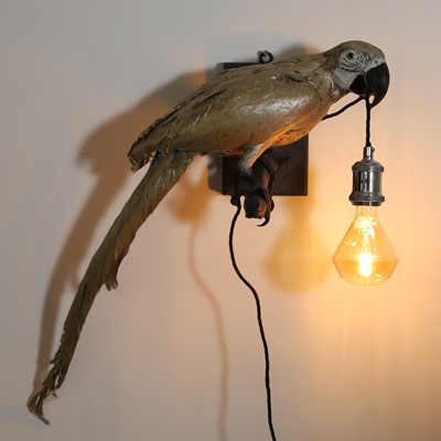 Lot 404 - Taxidermy: a blue and black macaw wall light