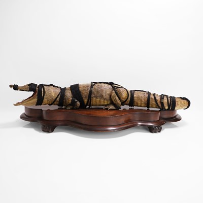 Lot 336 - Taxidermy: a Nile crocodile by Vix (contemporary)