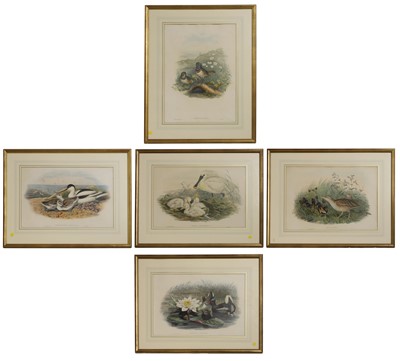 Lot 39 - John Gould (1804-1881) and Henry Constantine Richter (1821-1902)