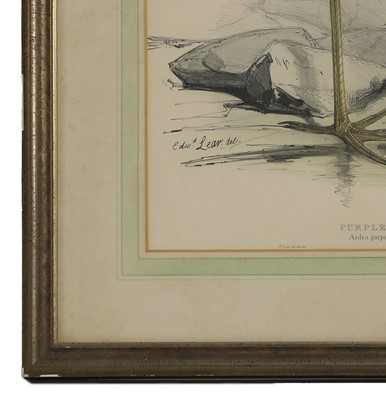 Lot 302 - Edward Lear (1812-1888) and John Gould (1804-1881)