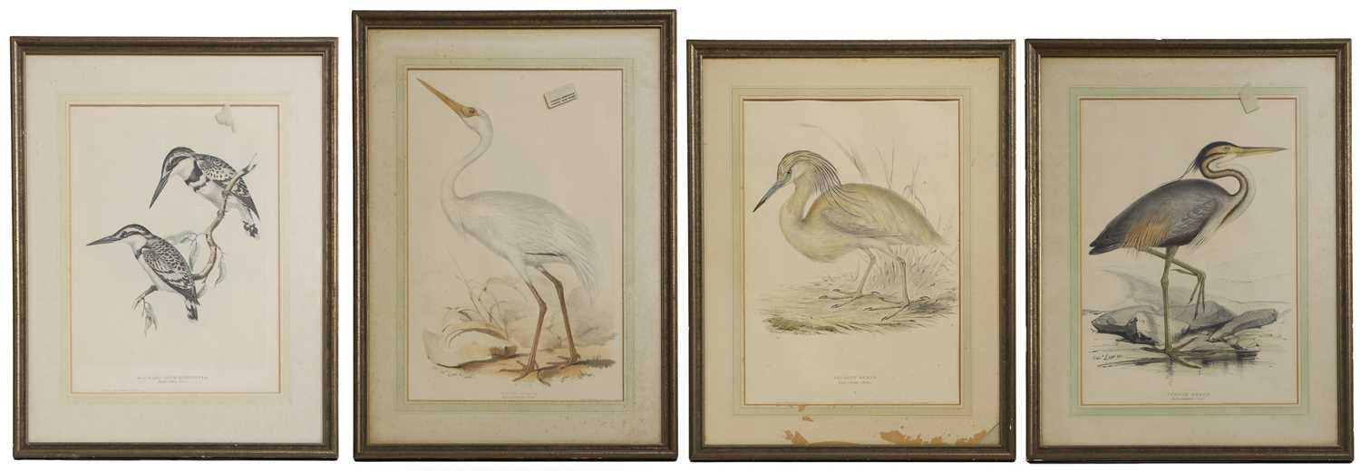 Lot 302 - Edward Lear (1812-1888) and John Gould (1804-1881)