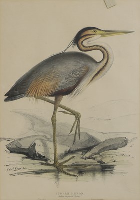 Lot 302 - Edward Lear (1812-1888) and John Gould (1804-1881)