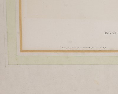 Lot 302 - Edward Lear (1812-1888) and John Gould (1804-1881)