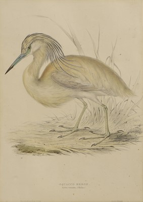 Lot 302 - Edward Lear (1812-1888) and John Gould (1804-1881)