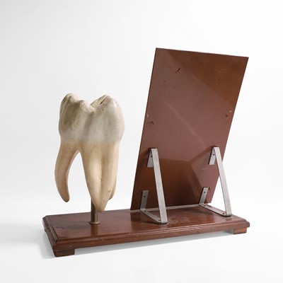 Lot 452 - A painted wood and plaster sectional dental teaching aid