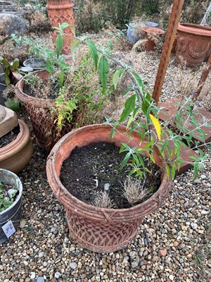 Lot 712 - A pair of terracotta garden planters