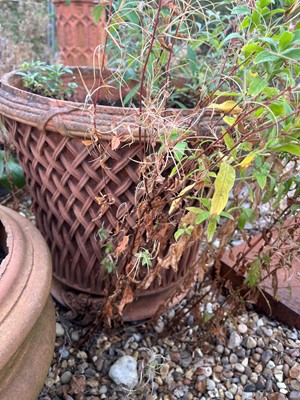 Lot 712 - A pair of terracotta garden planters