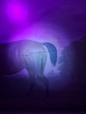 Lot 254 - Clifton Tomson (1775-1828)