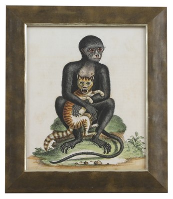 Lot 571 - After George Edwards and Jacques de Sève