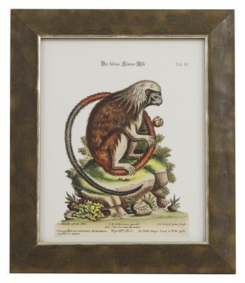 Lot 571 - After George Edwards and Jacques de Sève