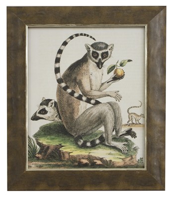 Lot 571 - After George Edwards and Jacques de Sève