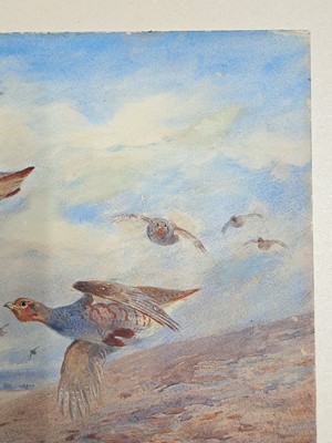 Lot 293 - Archibald Thorburn (1860-1935)