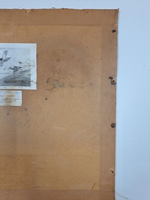 Lot 293 - Archibald Thorburn (1860-1935)