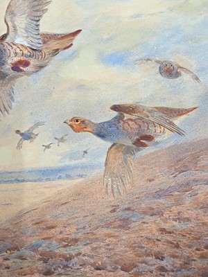 Lot 293 - Archibald Thorburn (1860-1935)