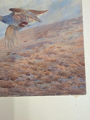 Lot 293 - Archibald Thorburn (1860-1935)