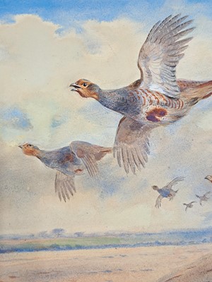 Lot 293 - Archibald Thorburn (1860-1935)