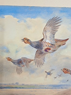 Lot 293 - Archibald Thorburn (1860-1935)