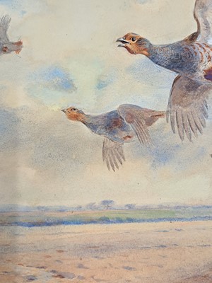 Lot 293 - Archibald Thorburn (1860-1935)