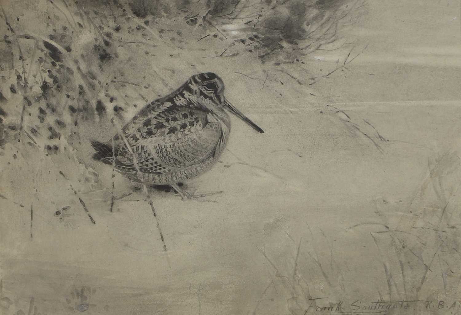 Lot 296 - Frank Southgate RBA (1872-1916)