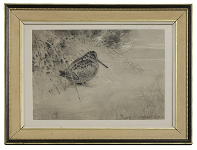 Lot 296 - Frank Southgate RBA (1872-1916)