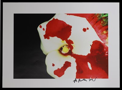 Lot 395 - Nobuyoshi Araki (Japanese, b.1940)